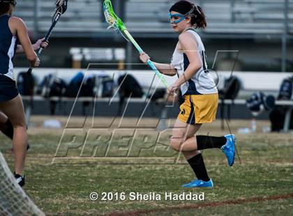 Thumbnail 3 in Wharton @ Steinbrenner photogallery.