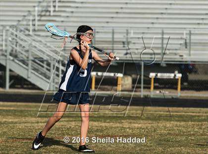 Thumbnail 2 in Wharton @ Steinbrenner photogallery.