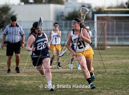 Thumbnail 2 in Wharton @ Steinbrenner photogallery.