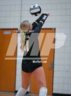 Photo from the gallery "Queen Creek @ Basha"