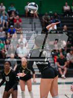 Photo from the gallery "Queen Creek @ Basha"