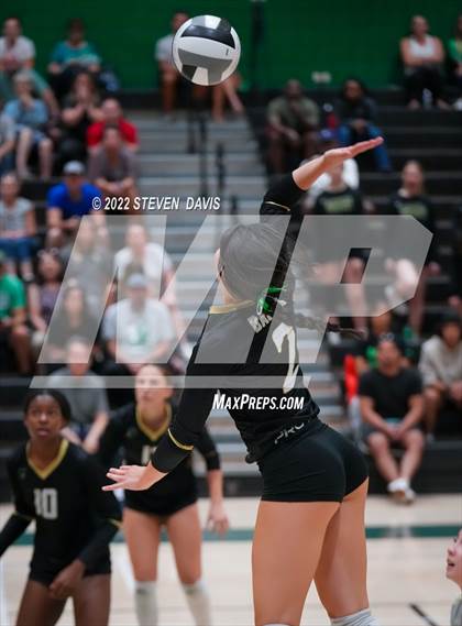 Thumbnail 1 in Queen Creek @ Basha photogallery.