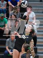 Photo from the gallery "Queen Creek @ Basha"