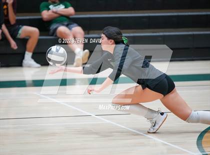 Thumbnail 2 in Queen Creek @ Basha photogallery.
