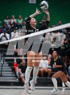 Photo from the gallery "Queen Creek @ Basha"