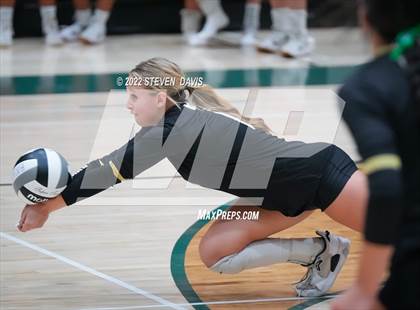 Thumbnail 1 in Queen Creek @ Basha photogallery.