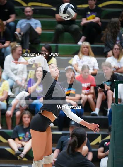 Thumbnail 1 in Queen Creek @ Basha photogallery.