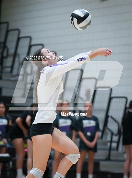 Thumbnail 3 in Queen Creek @ Basha photogallery.