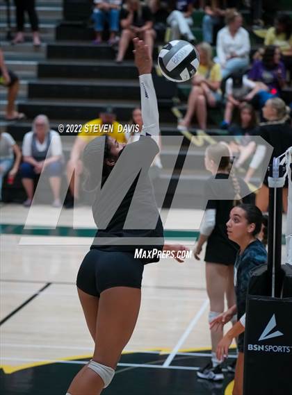 Thumbnail 2 in Queen Creek @ Basha photogallery.