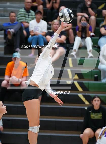 Thumbnail 3 in Queen Creek @ Basha photogallery.