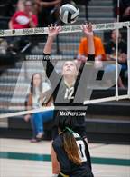 Photo from the gallery "Queen Creek @ Basha"