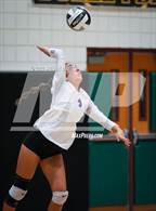 Photo from the gallery "Queen Creek @ Basha"