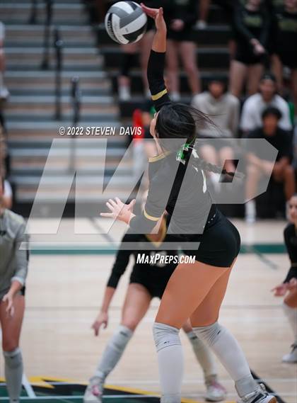 Thumbnail 1 in Queen Creek @ Basha photogallery.