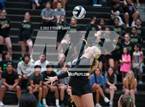 Photo from the gallery "Queen Creek @ Basha"