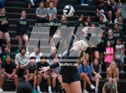 Thumbnail 3 in Queen Creek @ Basha photogallery.