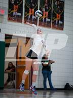 Photo from the gallery "Queen Creek @ Basha"