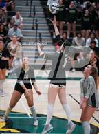 Photo from the gallery "Queen Creek @ Basha"