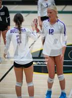 Photo from the gallery "Queen Creek @ Basha"