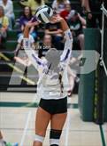 Photo from the gallery "Queen Creek @ Basha"
