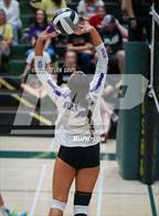 Photo from the gallery "Queen Creek @ Basha"