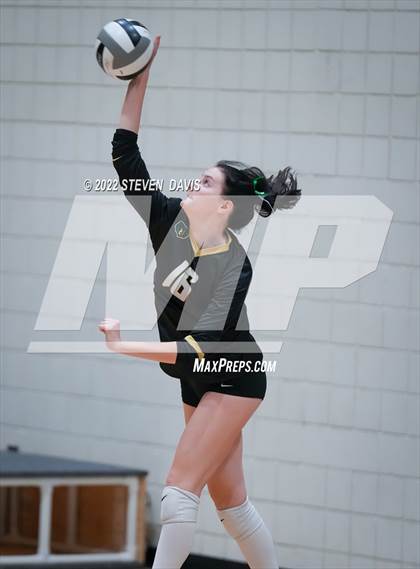Thumbnail 3 in Queen Creek @ Basha photogallery.