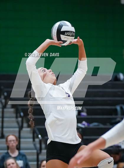 Thumbnail 2 in Queen Creek @ Basha photogallery.