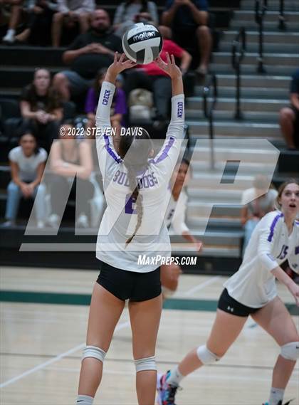 Thumbnail 2 in Queen Creek @ Basha photogallery.
