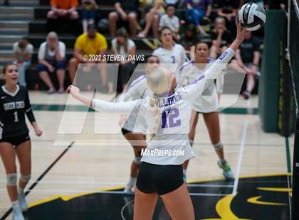 Thumbnail 1 in Queen Creek @ Basha photogallery.