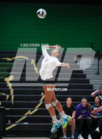 Thumbnail 2 in Queen Creek @ Basha photogallery.