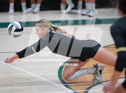 Thumbnail 2 in Queen Creek @ Basha photogallery.
