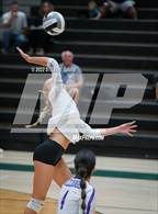 Photo from the gallery "Queen Creek @ Basha"