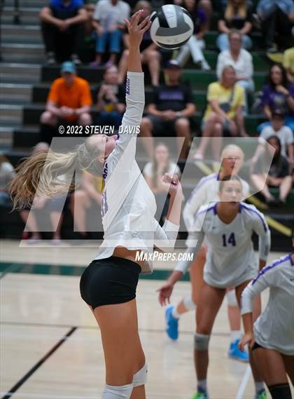 Thumbnail 3 in Queen Creek @ Basha photogallery.