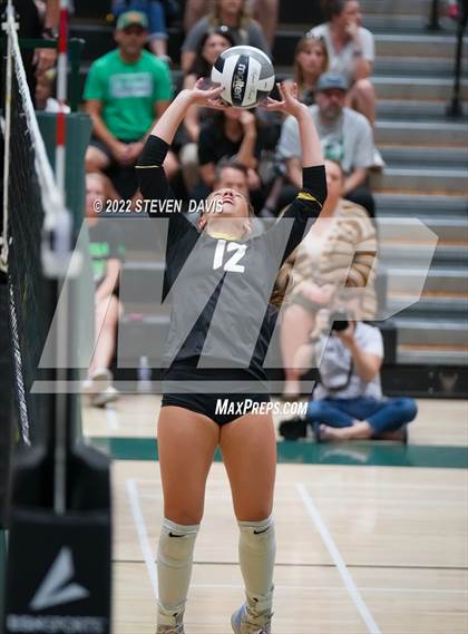 Thumbnail 1 in Queen Creek @ Basha photogallery.