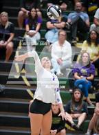 Photo from the gallery "Queen Creek @ Basha"
