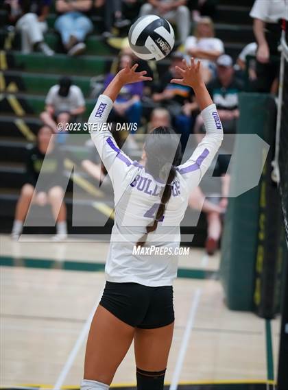 Thumbnail 2 in Queen Creek @ Basha photogallery.