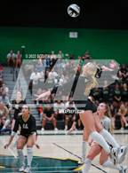 Photo from the gallery "Queen Creek @ Basha"
