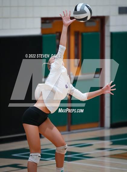 Thumbnail 1 in Queen Creek @ Basha photogallery.