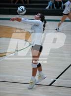Photo from the gallery "Queen Creek @ Basha"