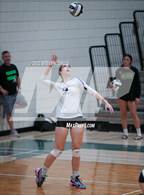 Photo from the gallery "Queen Creek @ Basha"