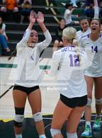 Photo from the gallery "Queen Creek @ Basha"