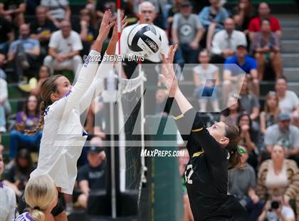 Thumbnail 1 in Queen Creek @ Basha photogallery.