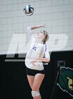 Photo from the gallery "Queen Creek @ Basha"