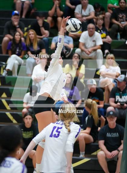 Thumbnail 3 in Queen Creek @ Basha photogallery.