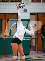 Photo from the gallery "Queen Creek @ Basha"