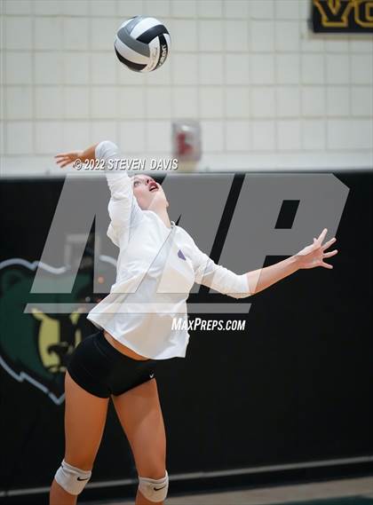 Thumbnail 3 in Queen Creek @ Basha photogallery.