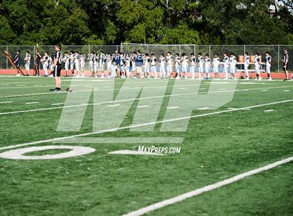 Thumbnail 1 in Alexander @ Boerne-Champion photogallery.