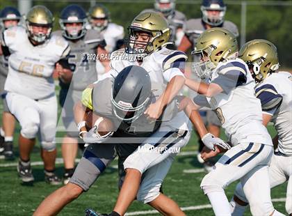 Thumbnail 2 in Alexander @ Boerne-Champion photogallery.