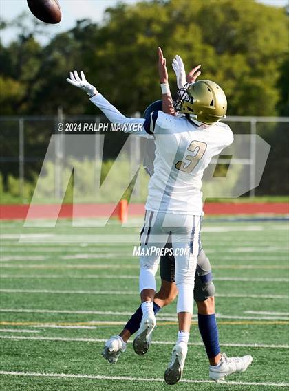 Thumbnail 1 in Alexander @ Boerne-Champion photogallery.
