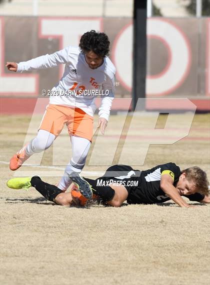 Thumbnail 1 in Browne @ Hamilton (AIA 6A Playoff Round 1) photogallery.