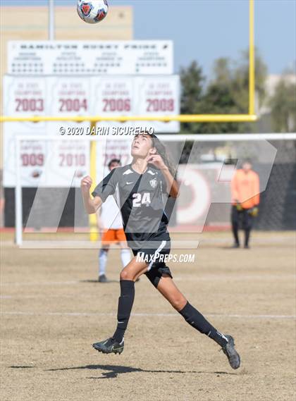 Thumbnail 1 in Browne @ Hamilton (AIA 6A Playoff Round 1) photogallery.